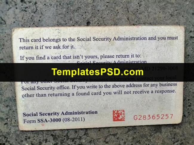 Social Security Card Back Real Looking Mockup Social Security Card Back Real Looking Mockup
